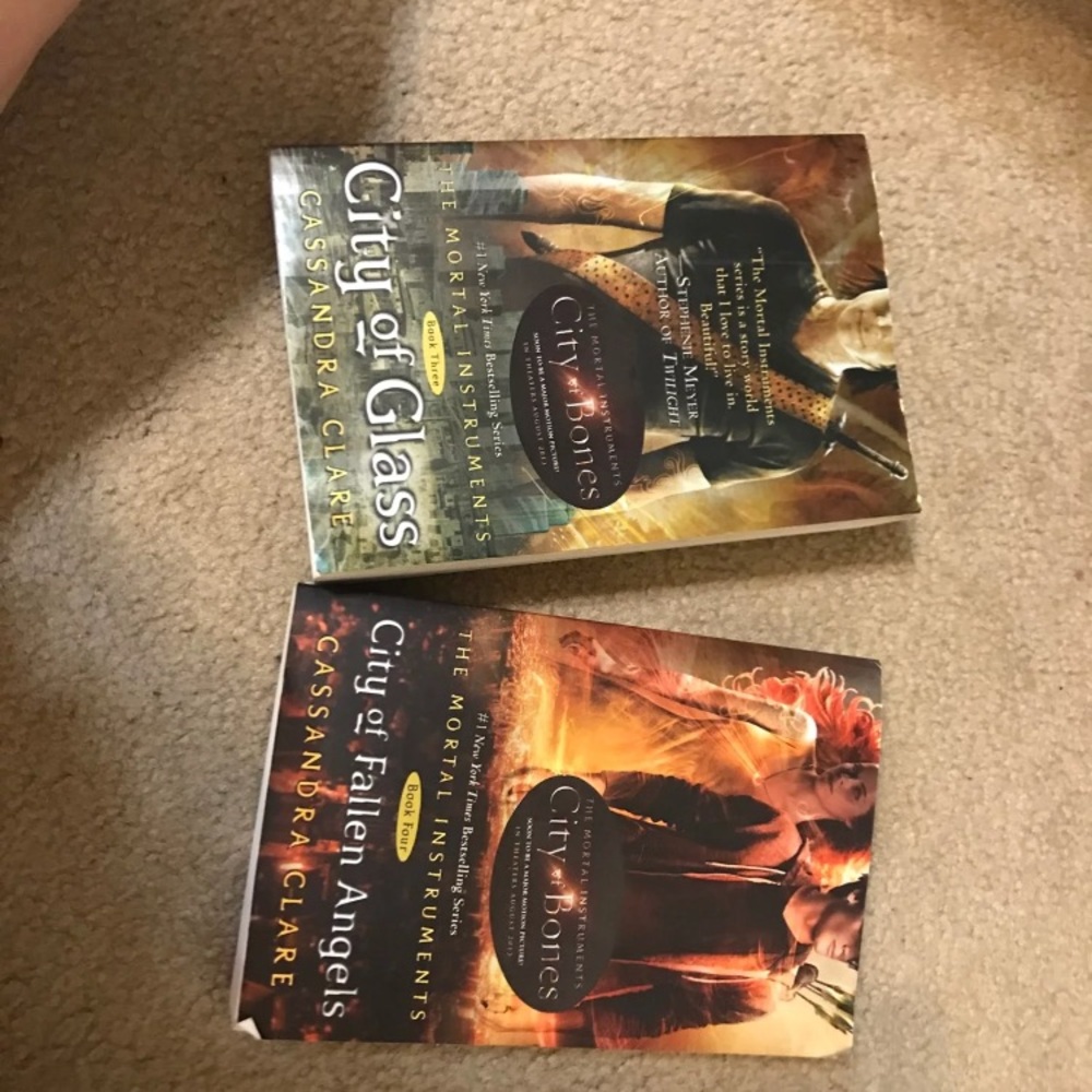 The Mortal Instruments Books 3 And 4